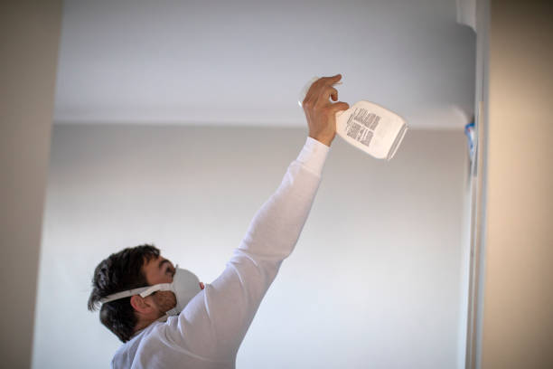 Best Home Mold Removal  in Mosheim, TN