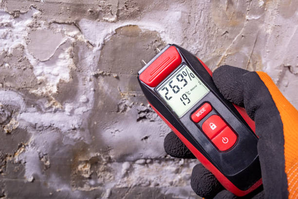 Best Water Damage Restoration  in Mosheim, TN