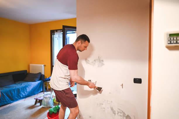 Best Professional Mold Removal  in Mosheim, TN